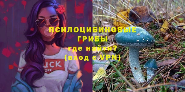 амфетамин Няндома